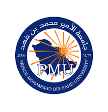 Prince Mohammad Bin Fahd University